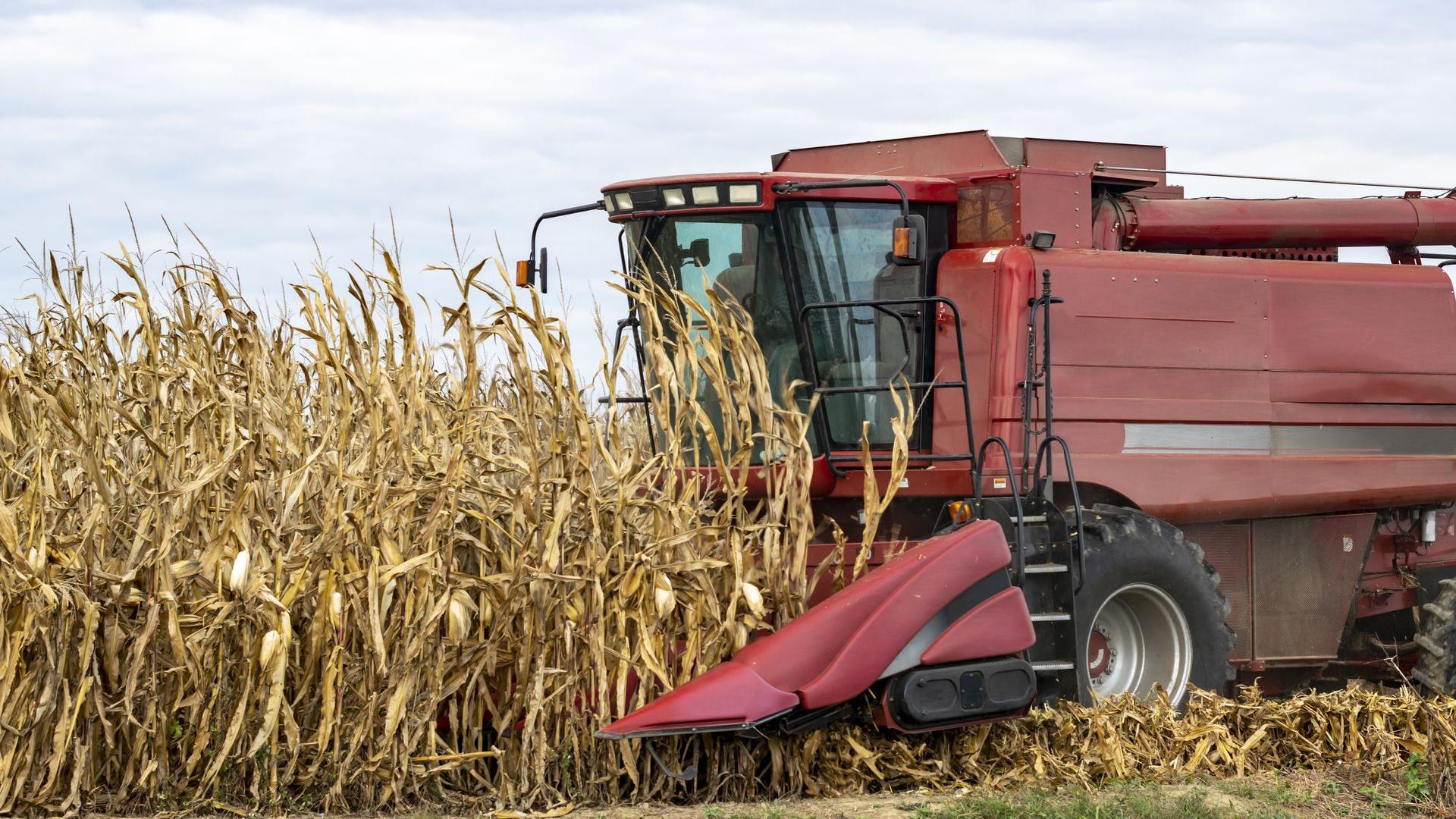 Agri-procession business illustration